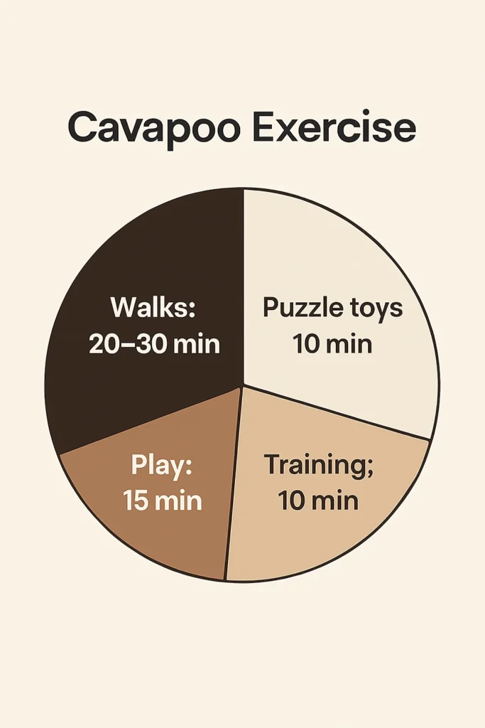 Daily mental and physical exercise time graph